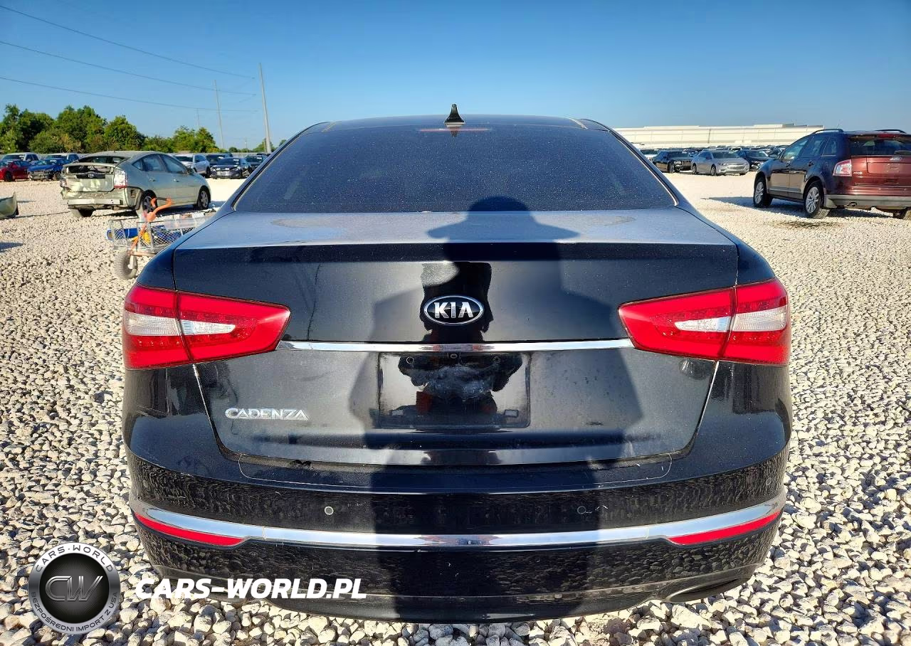 2014 Kia Cadenza Premium VIN:KNALN4D77E5163474 - 6