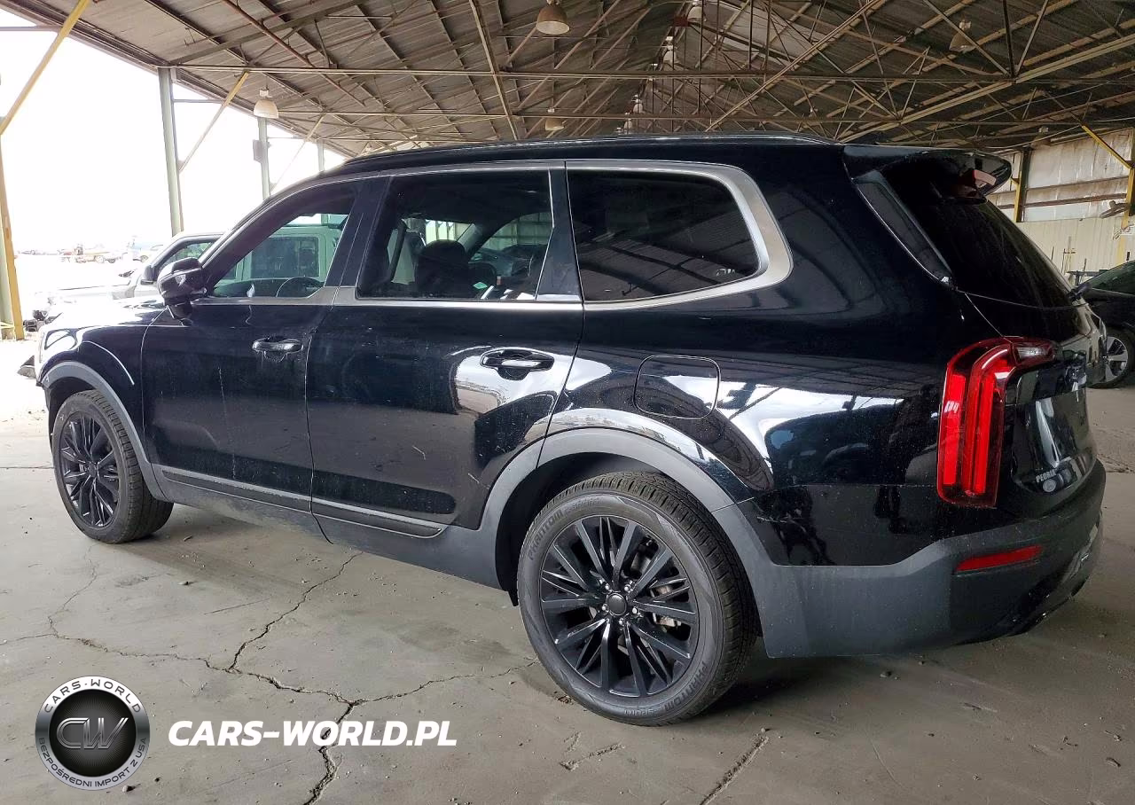 2020 Kia Telluride Sx VIN:5XYP5DHC2LG010162 - 2