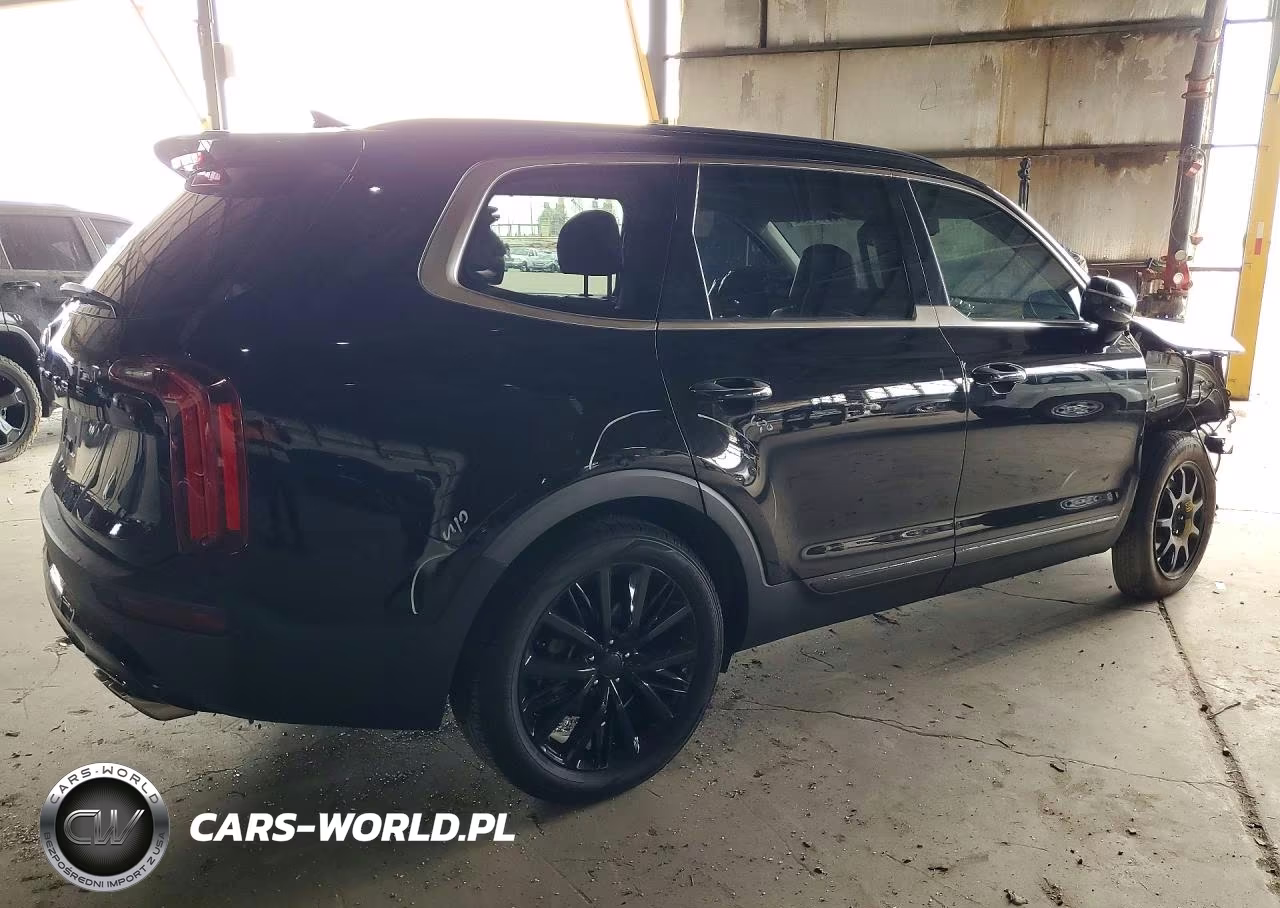 2020 Kia Telluride Sx VIN:5XYP5DHC2LG010162 - 3