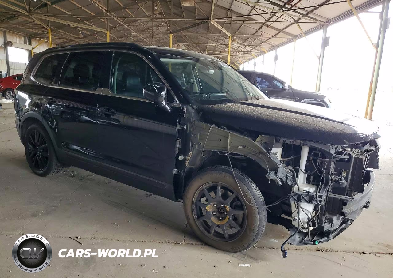 2020 Kia Telluride Sx VIN:5XYP5DHC2LG010162 - 4