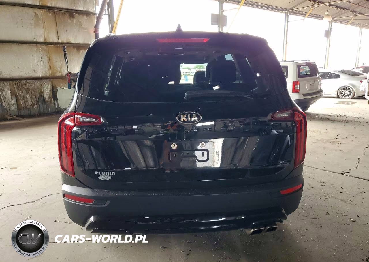 2020 Kia Telluride Sx VIN:5XYP5DHC2LG010162 - 6