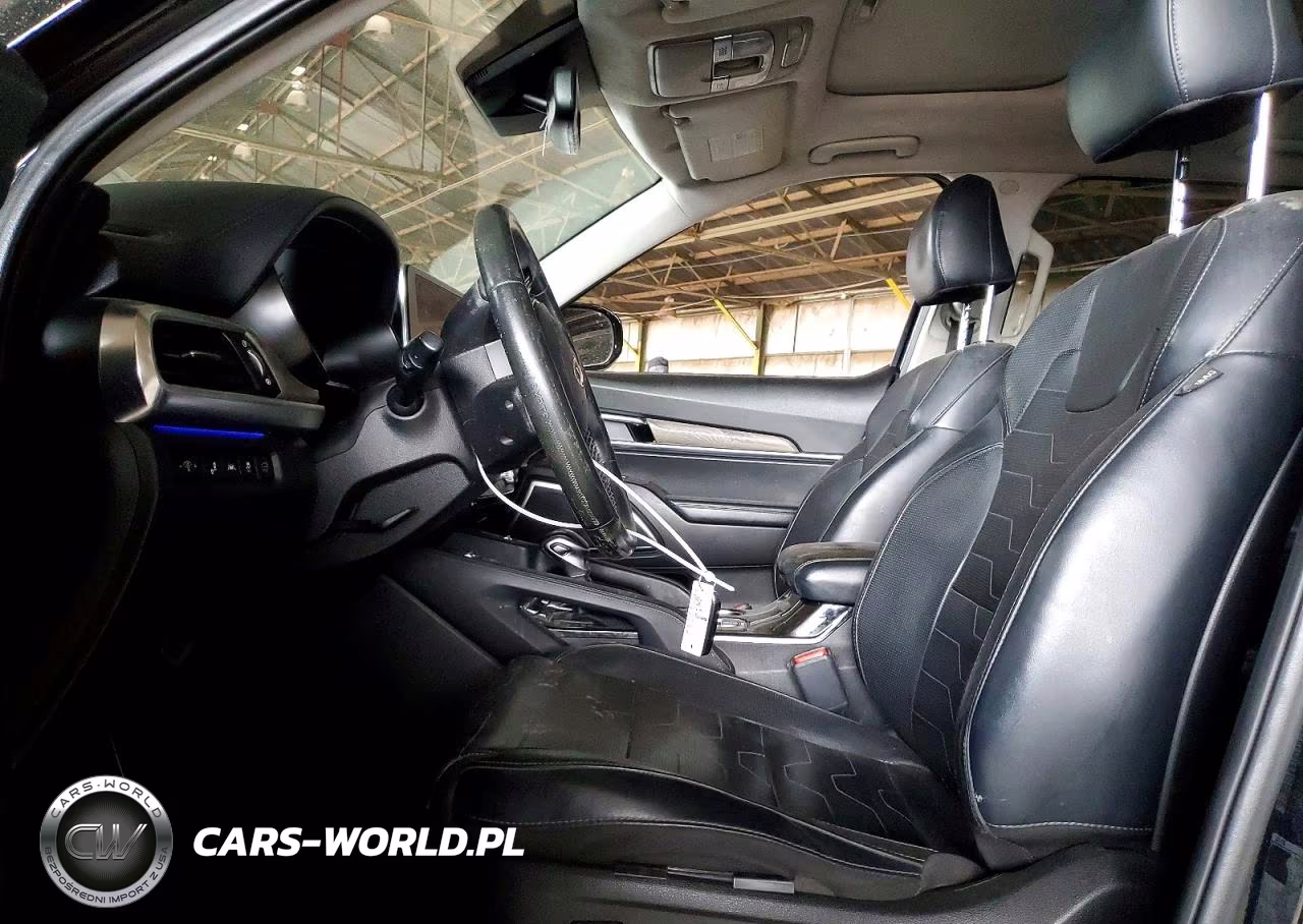 2020 Kia Telluride Sx VIN:5XYP5DHC2LG010162 - 7