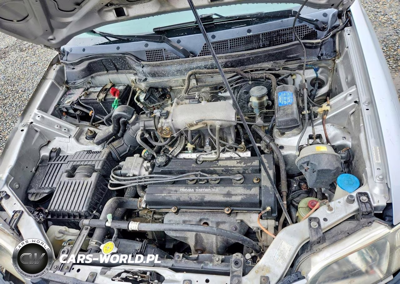1998 Honda Cr-V Lx VIN:JHLRD1742WC033649 - 12