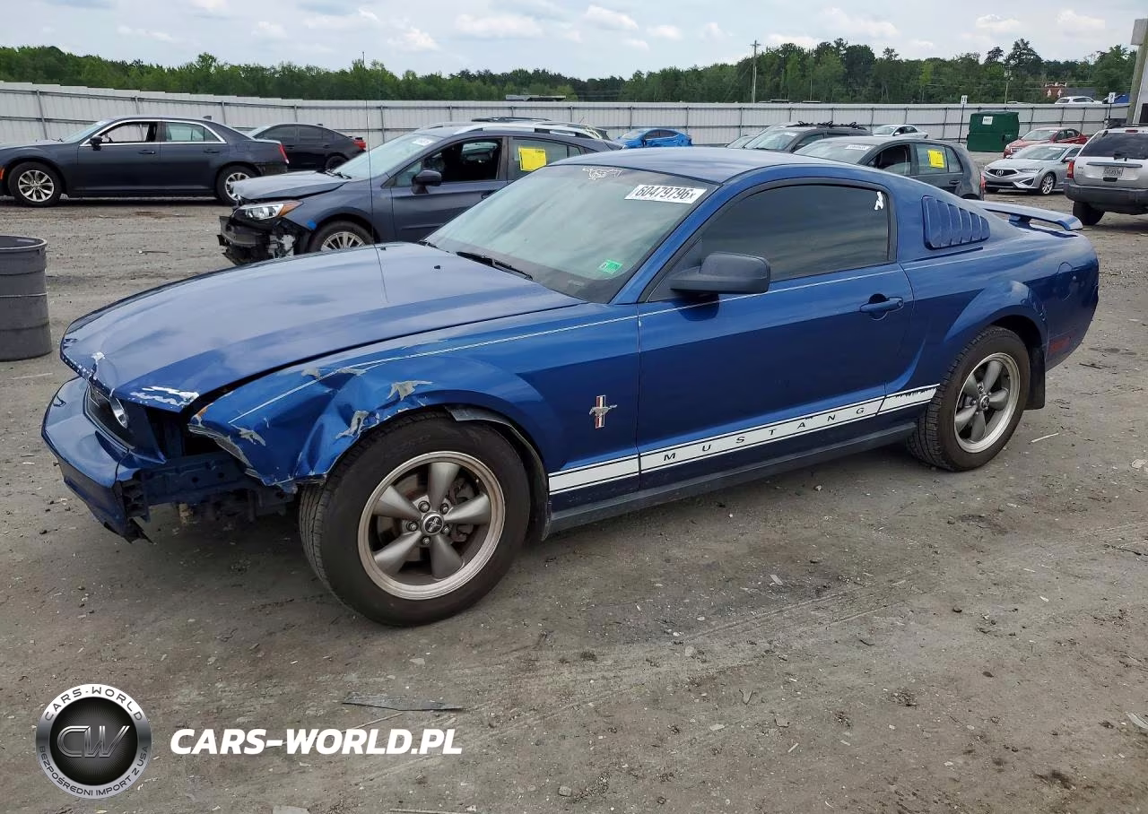 2006 Ford Mustang VIN:1ZVFT80N365201959 - 1