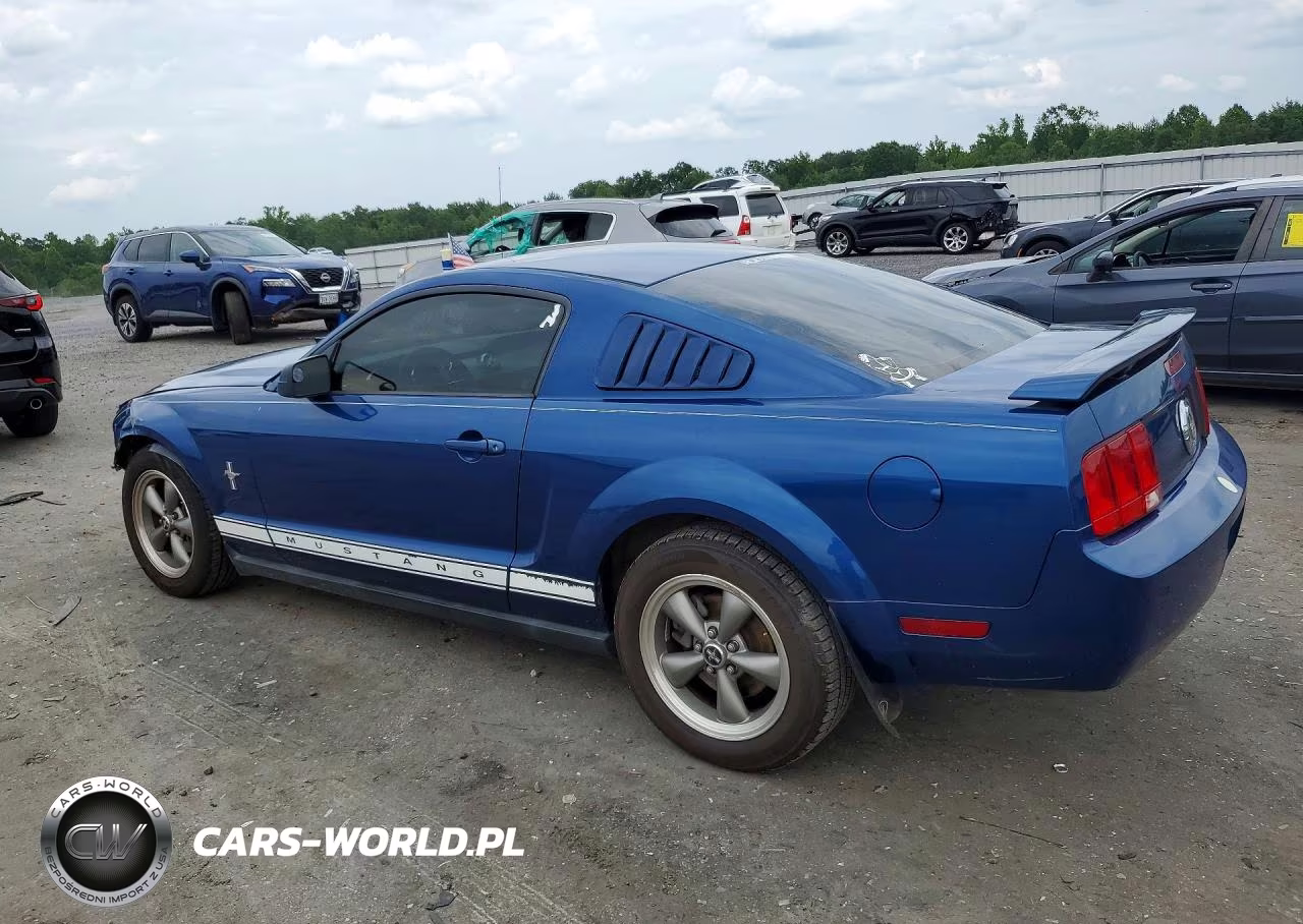 2006 Ford Mustang VIN:1ZVFT80N365201959 - 2