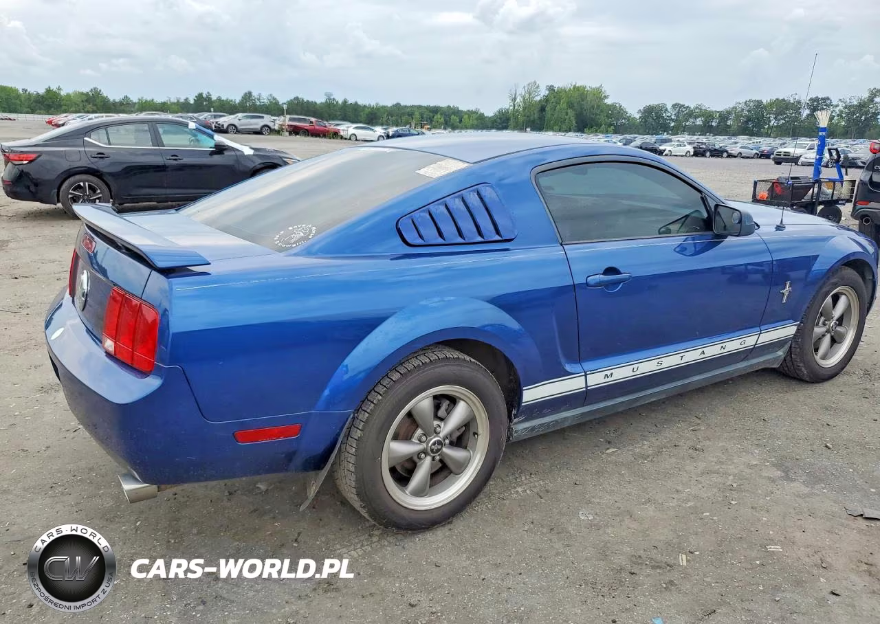 2006 Ford Mustang VIN:1ZVFT80N365201959 - 3