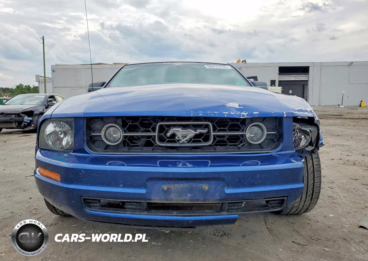 2006 Ford Mustang VIN:1ZVFT80N365201959 - 5