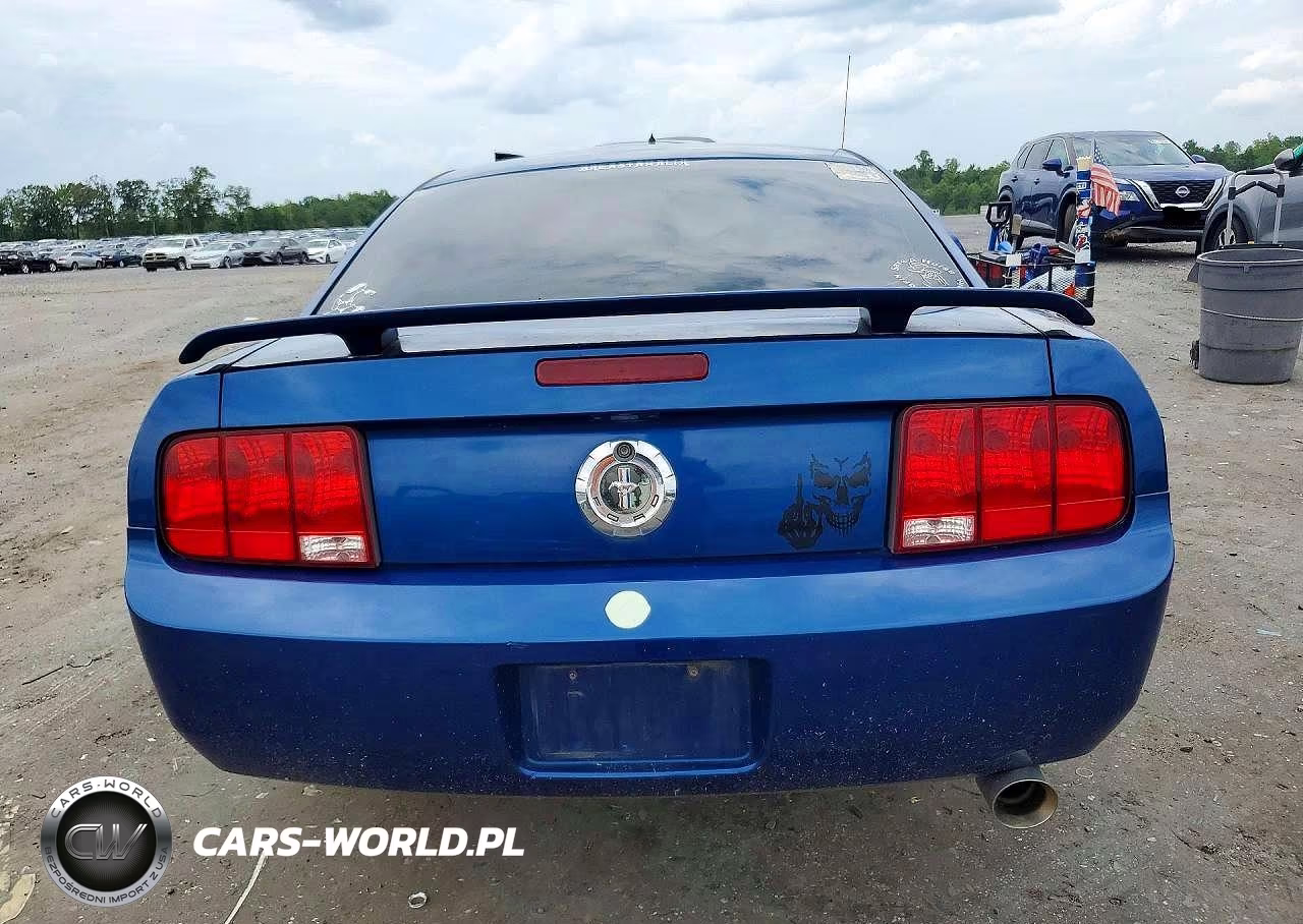 2006 Ford Mustang VIN:1ZVFT80N365201959 - 6