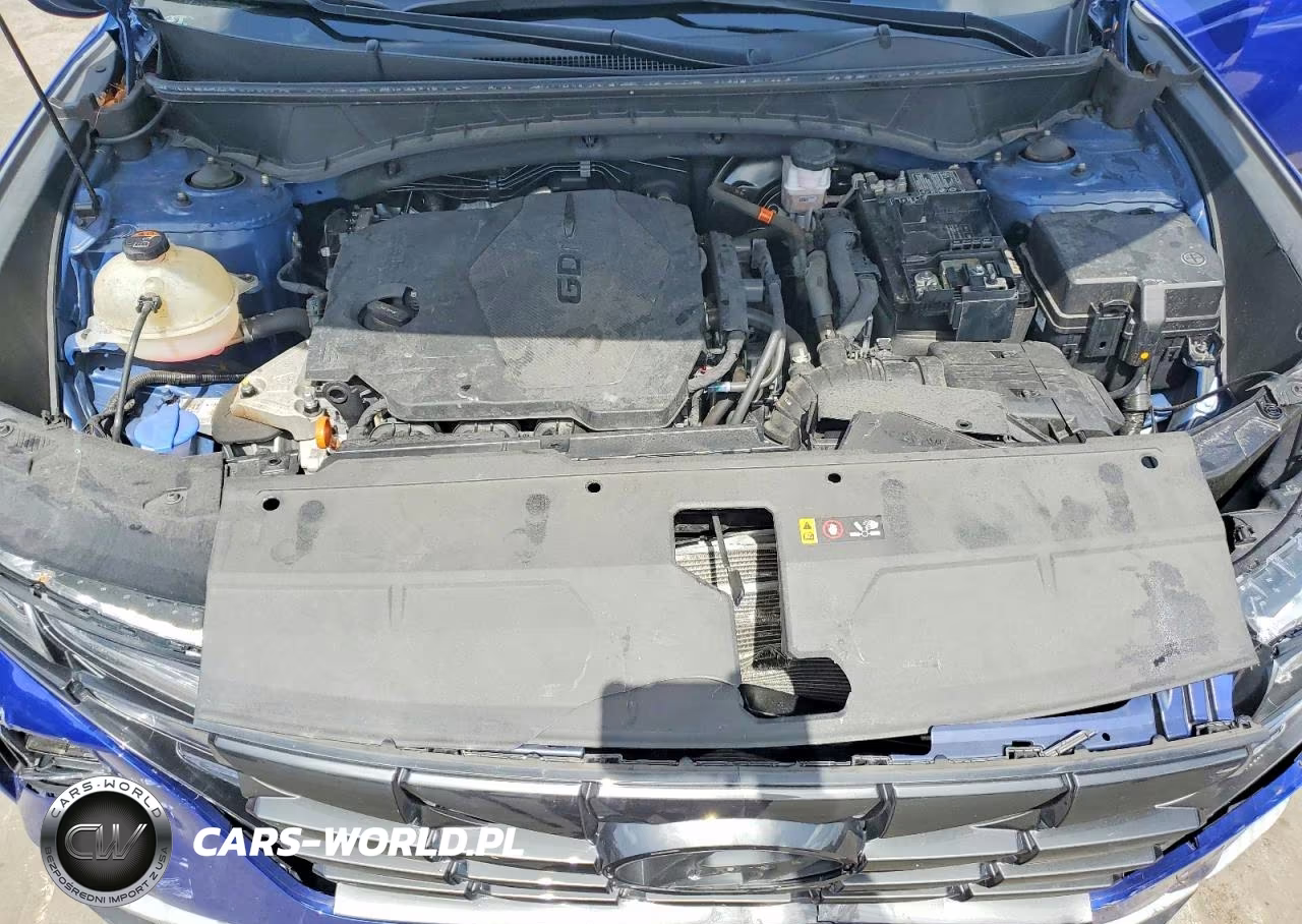2023 Hyundai Tucson Sel VIN:5NMJFCAE1PH206419 - 12