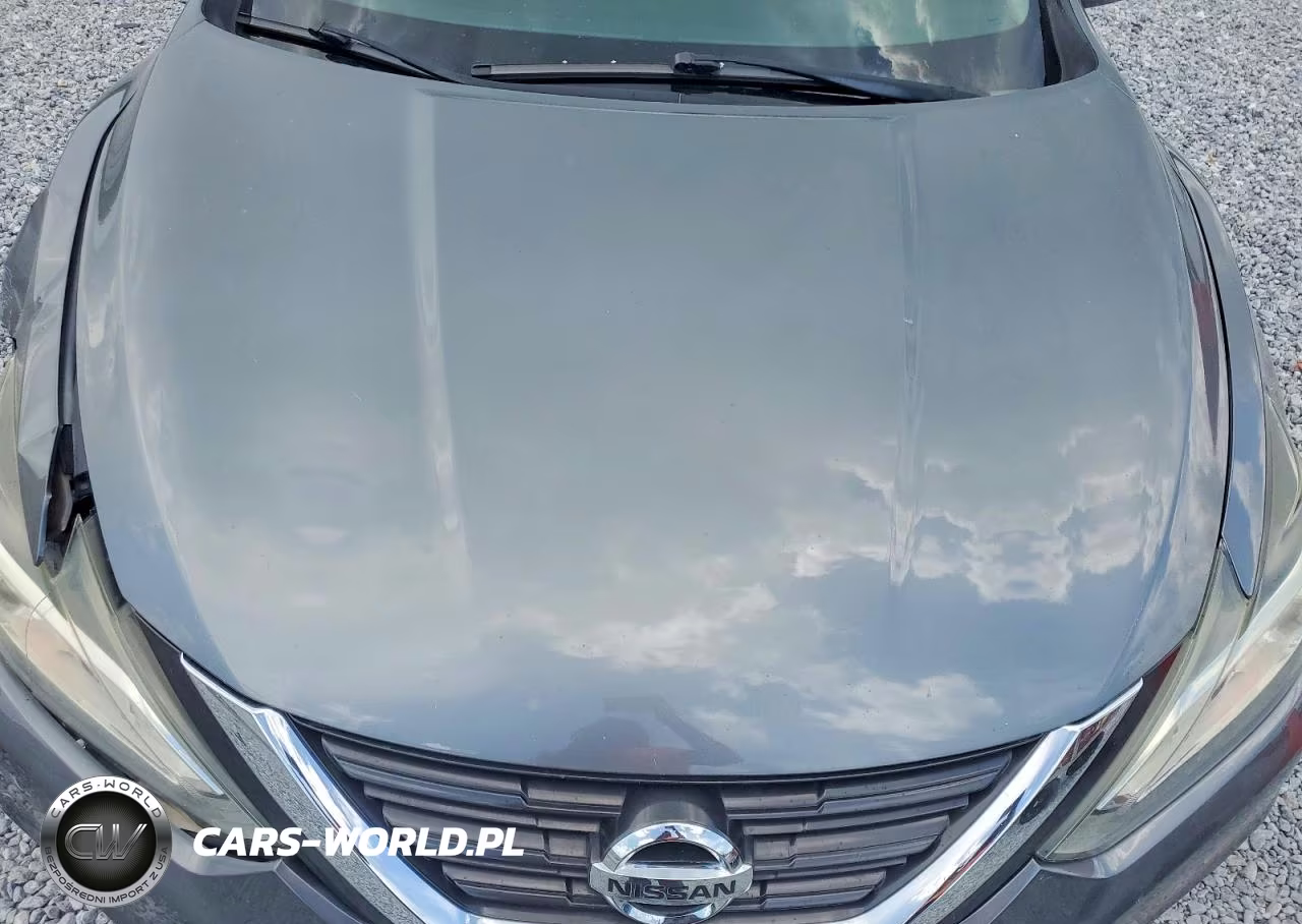 2016 Nissan Altima 2.5 Sv VIN:1N4AL3AP8GC192694 - 11