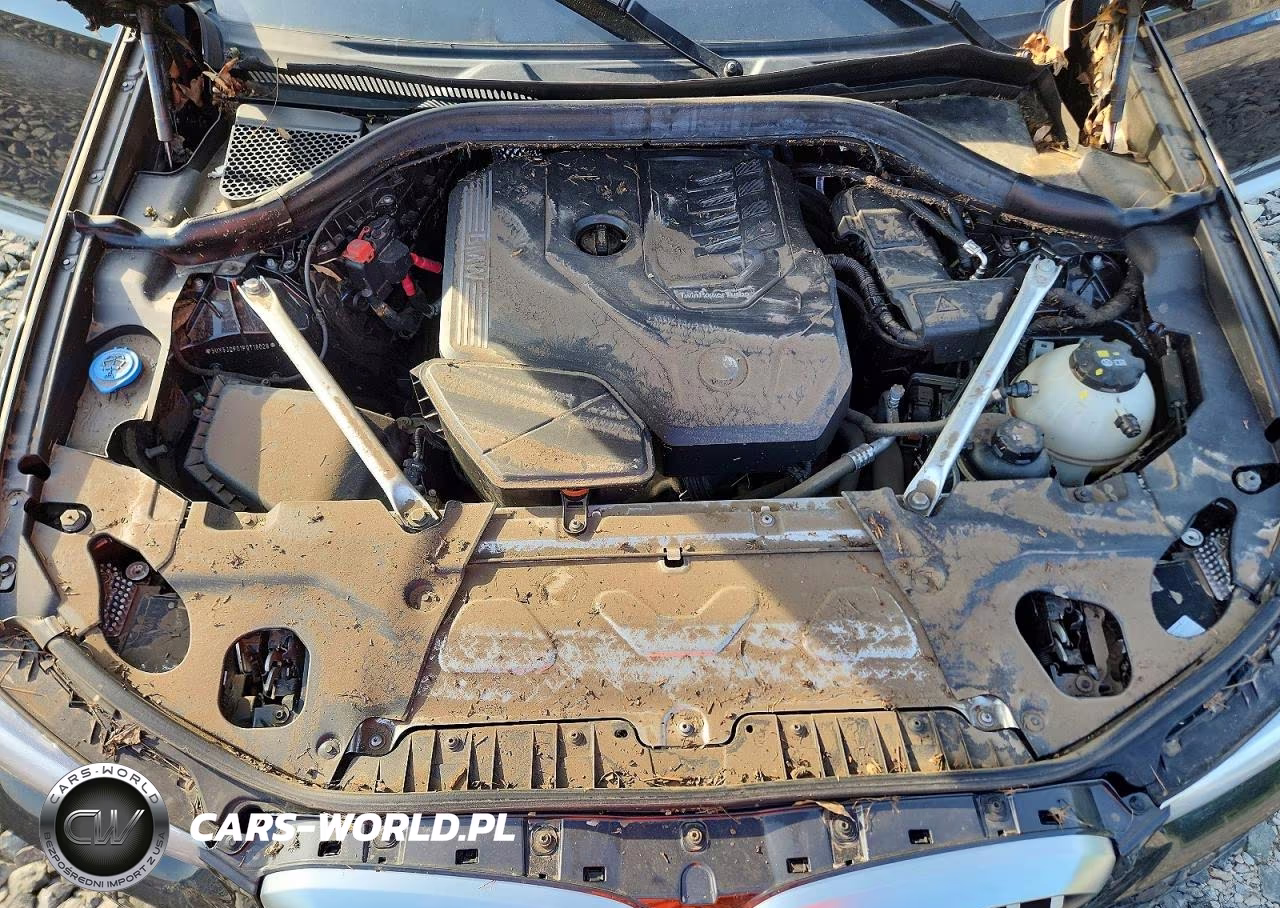 2023 BMW X3 xDrive30I VIN:5UX53DP01P9T18028 - 12