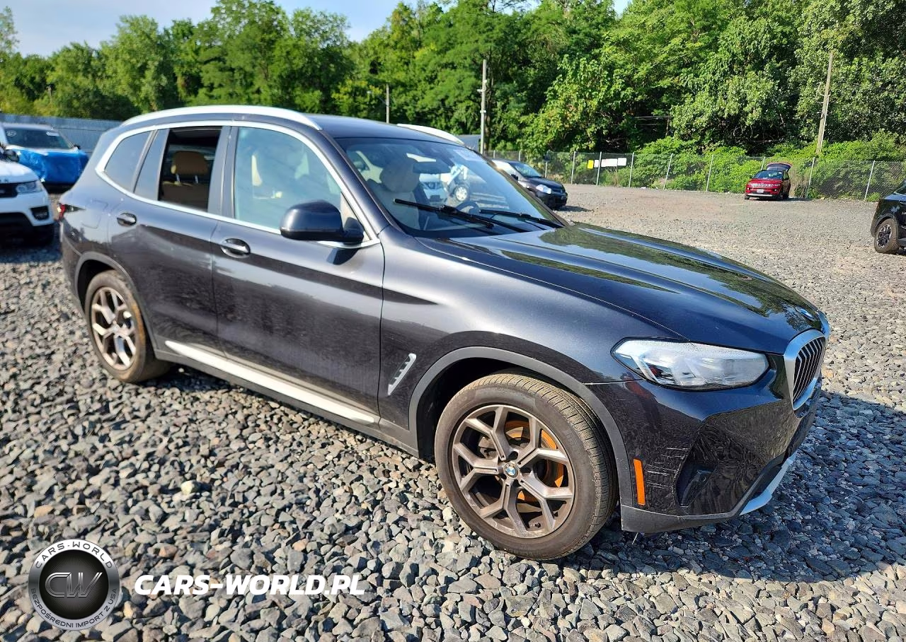 2023 BMW X3 xDrive30I VIN:5UX53DP01P9T18028 - 4