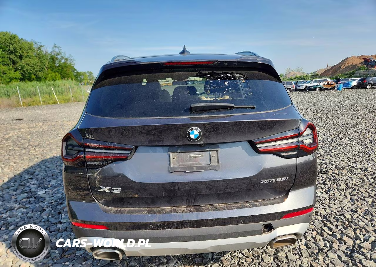 2023 BMW X3 xDrive30I VIN:5UX53DP01P9T18028 - 6