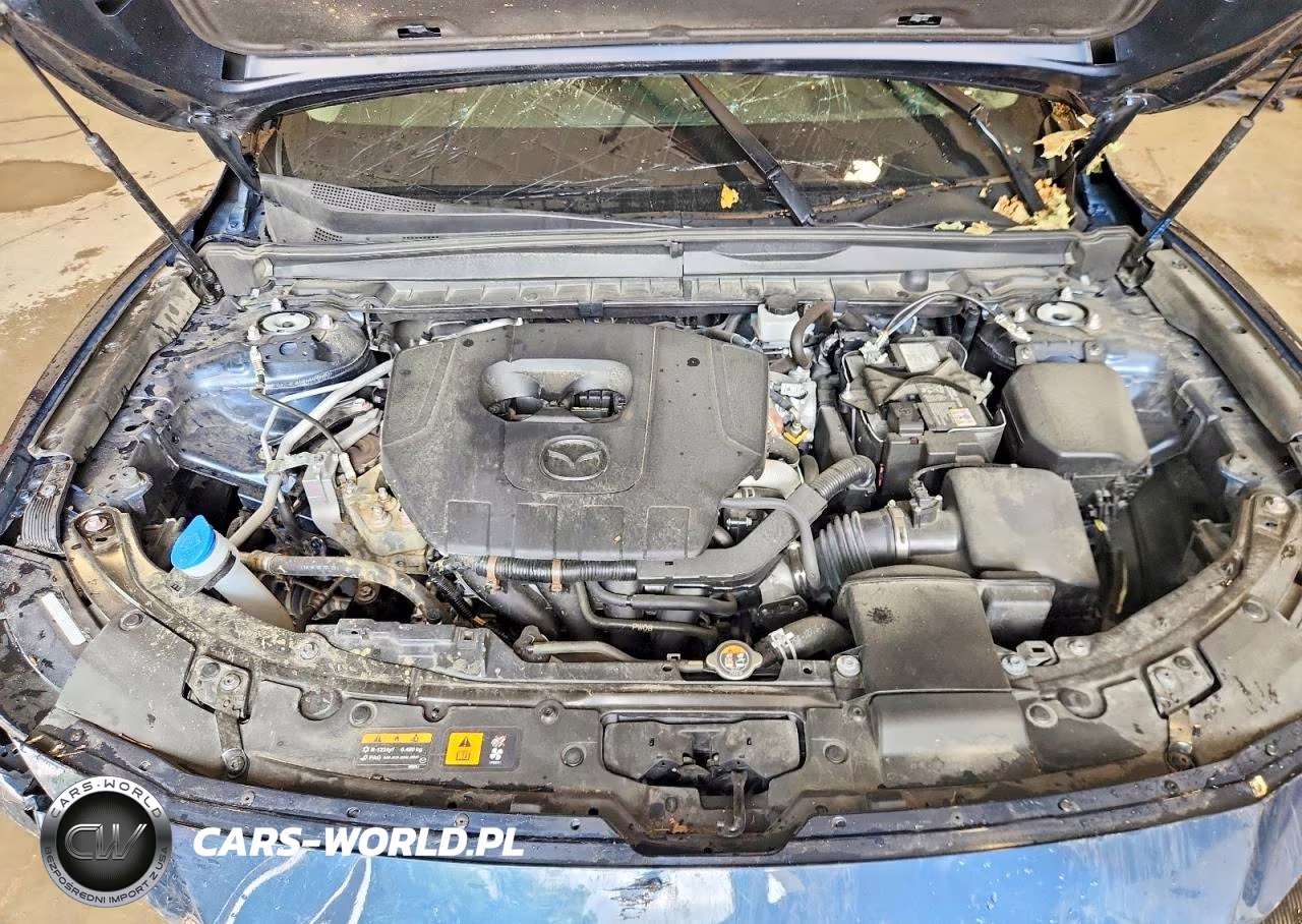2025 Mazda Cx-50 Premium Plus VIN:7MMVABEM7SN330122 - 12