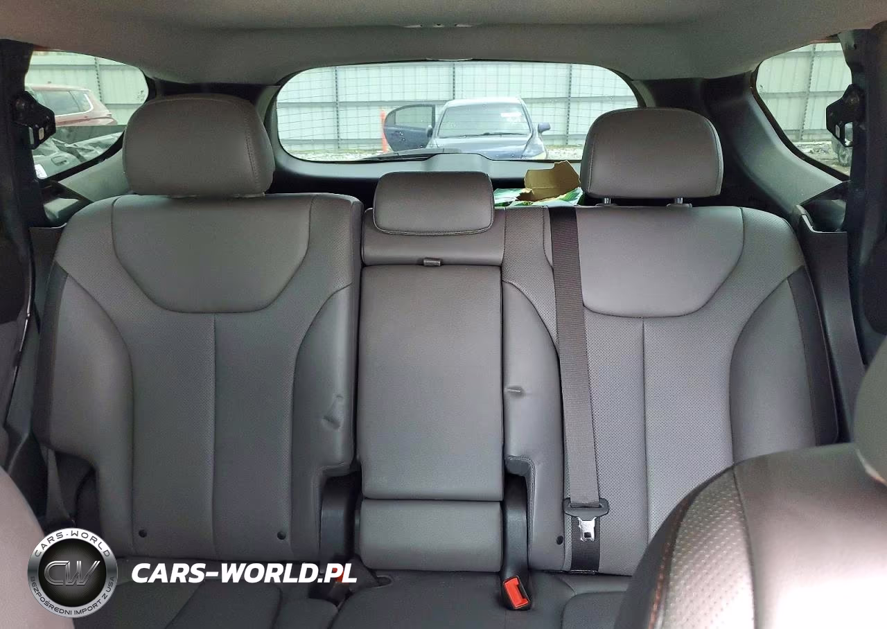 2019 Hyundai Santa Fe Limited-Ult VIN:5NMS53AD2KH049958 - 10