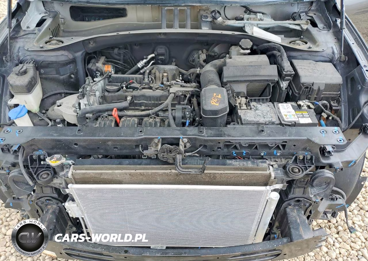 2019 Hyundai Santa Fe Limited-Ult VIN:5NMS53AD2KH049958 - 12