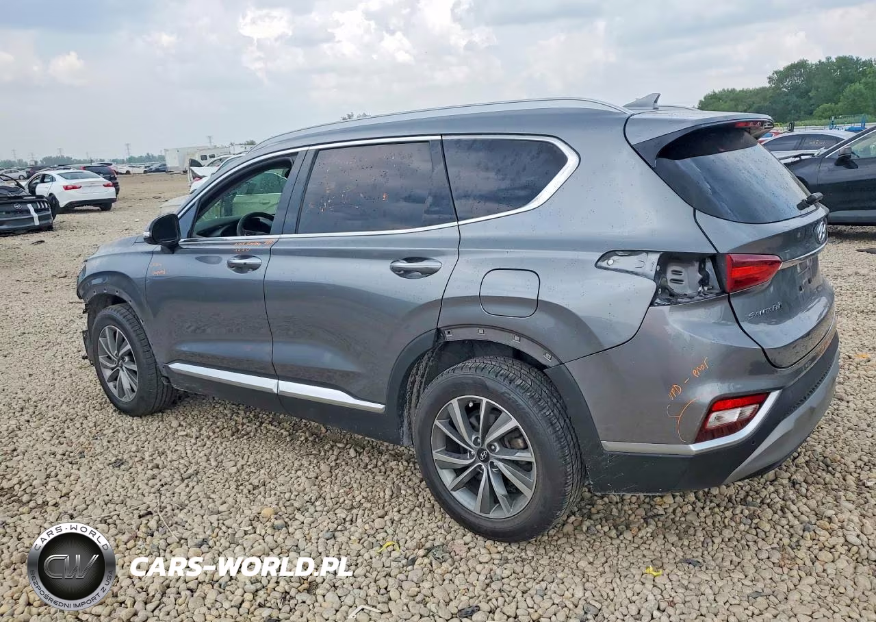2019 Hyundai Santa Fe Limited-Ult VIN:5NMS53AD2KH049958 - 2