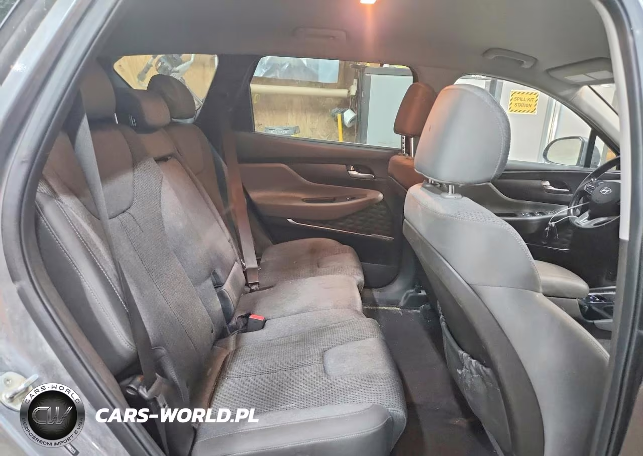 2019 Hyundai Santa Fe Sel Plus 2.4L VIN:5NMS3CADXKH066223 - 11