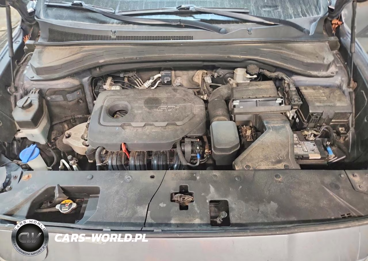 2019 Hyundai Santa Fe Sel Plus 2.4L VIN:5NMS3CADXKH066223 - 12