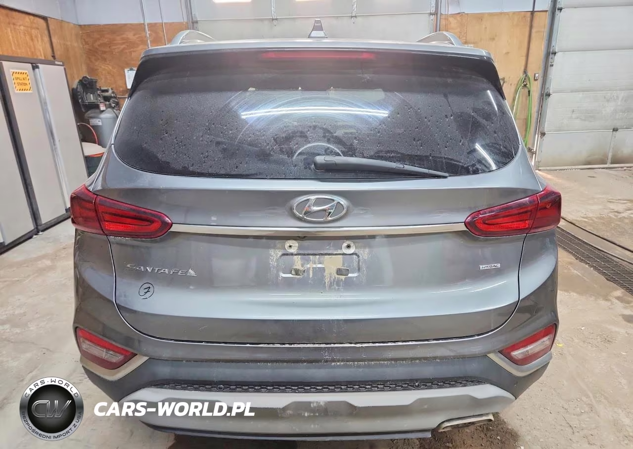 2019 Hyundai Santa Fe Sel Plus 2.4L VIN:5NMS3CADXKH066223 - 6