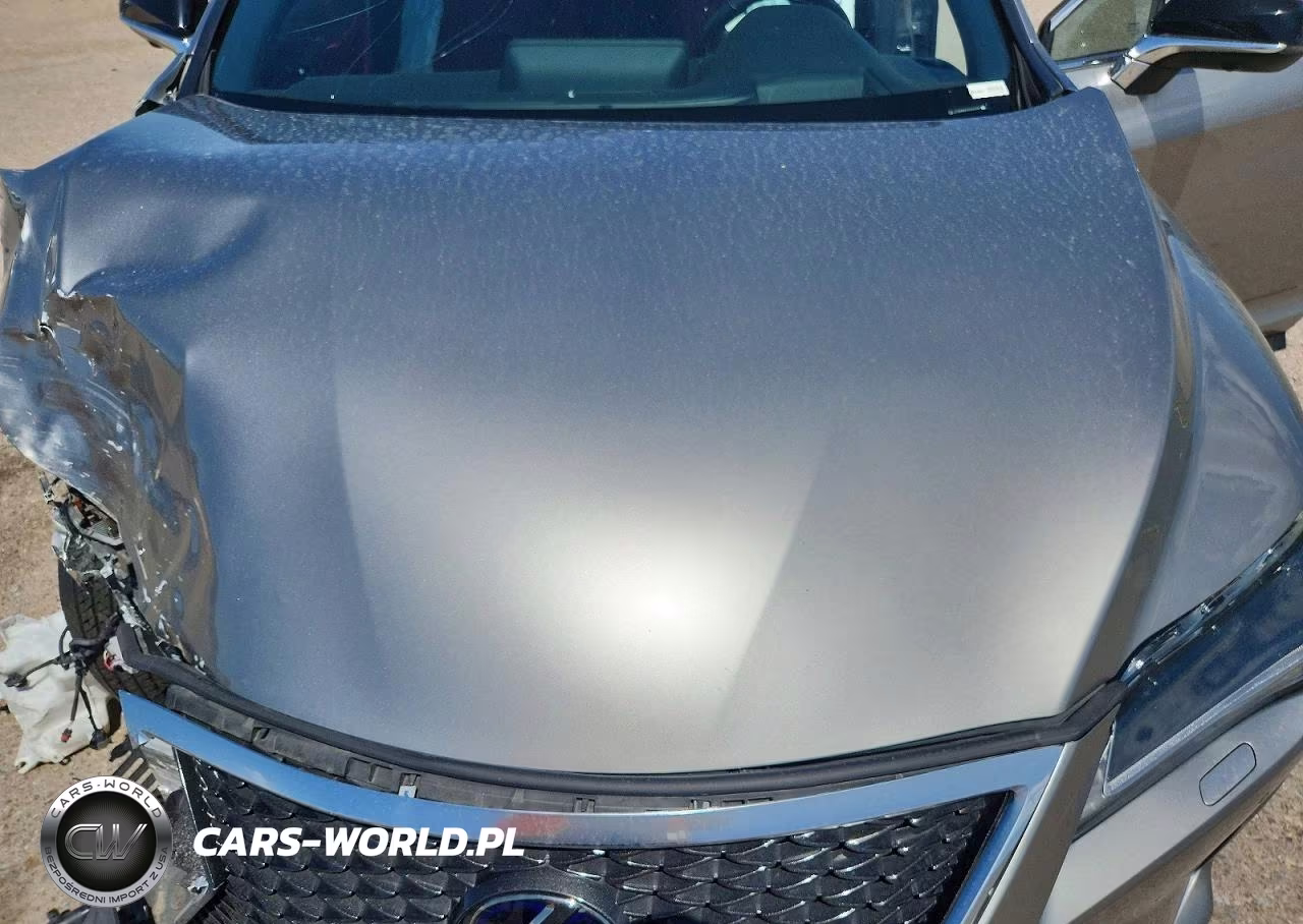 2019 Lexus Rx 450H F Sport VIN:2T2BGMCA7KC039494 - 12