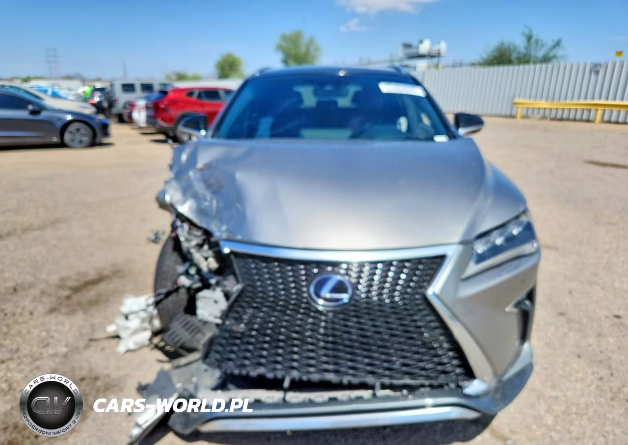 2019 Lexus Rx 450H F Sport VIN:2T2BGMCA7KC039494 - 5