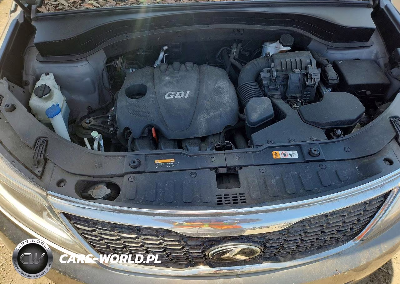 2014 Kia Sorento Lx VIN:5XYKT4A62EG543295 - 12