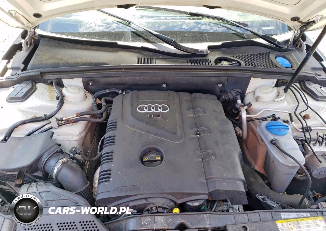 2014 Audi A4 Premium Plus VIN:WAUFFAFL6EN017649 - 11