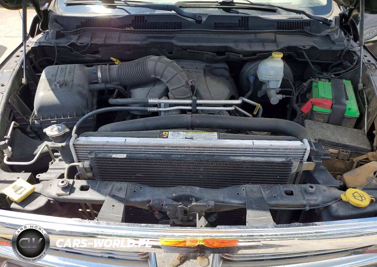 2010 Dodge Ram 1500 VIN:1D7RB1CT1AS122391 - 11