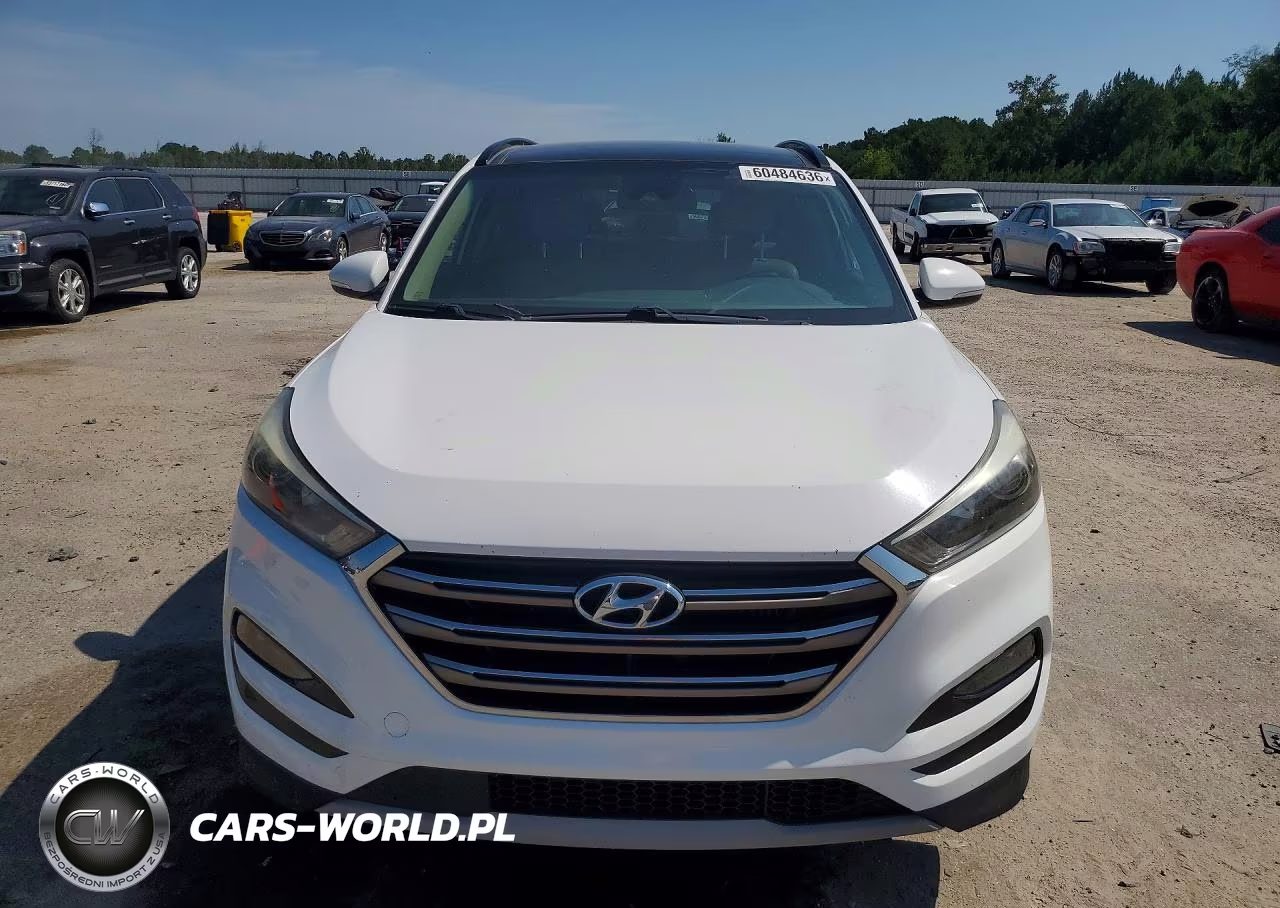 2016 Hyundai Tucson Limited VIN:KM8J33A2XGU257355 - 5