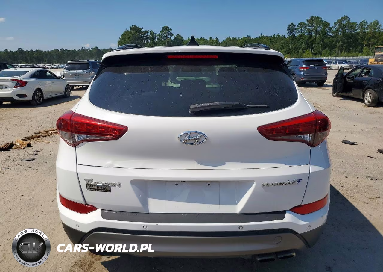 2016 Hyundai Tucson Limited VIN:KM8J33A2XGU257355 - 6