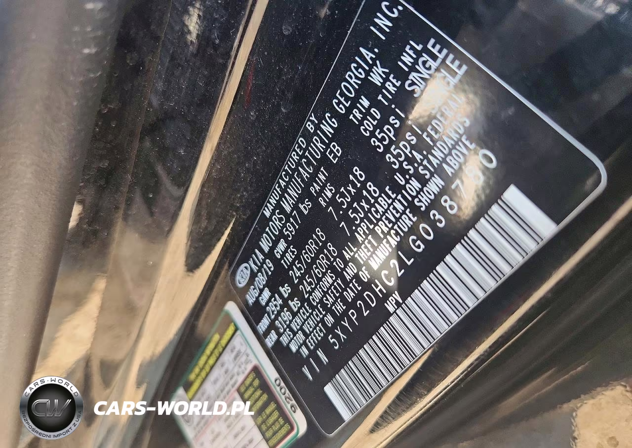 2020 Kia Telluride Lx VIN:5XYP2DHC2LG038780 - 13