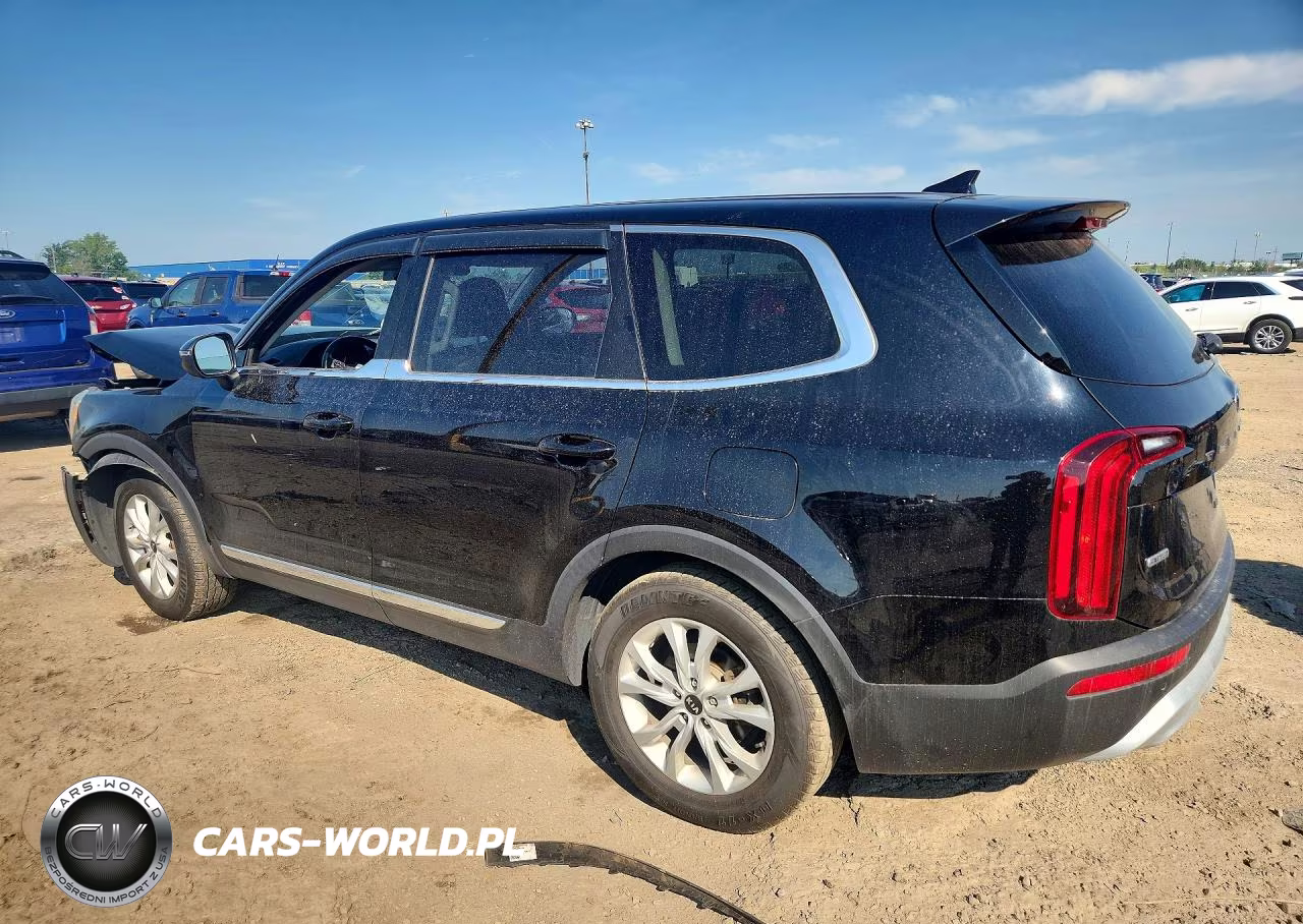 2020 Kia Telluride Lx VIN:5XYP2DHC2LG038780 - 2