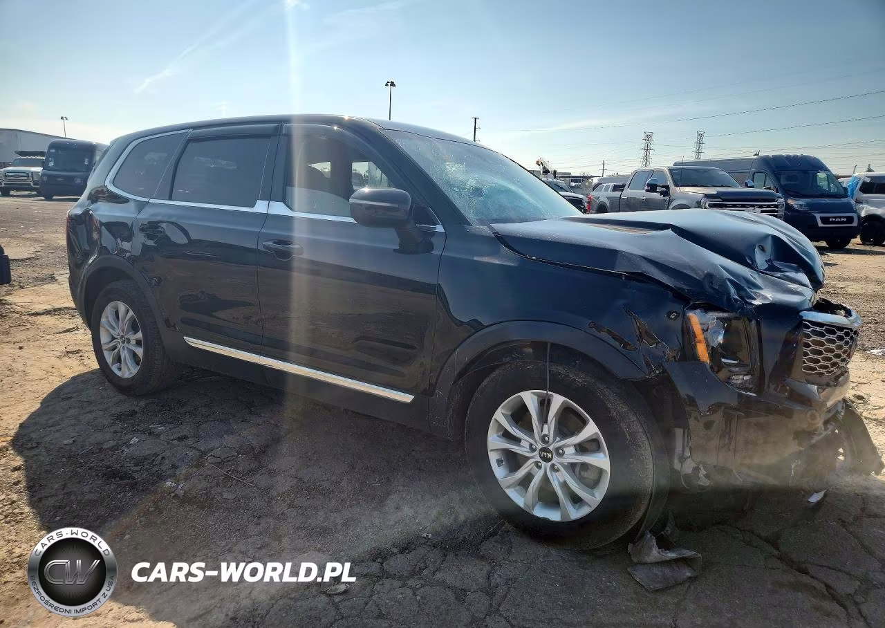 2020 Kia Telluride Lx VIN:5XYP2DHC2LG038780 - 4