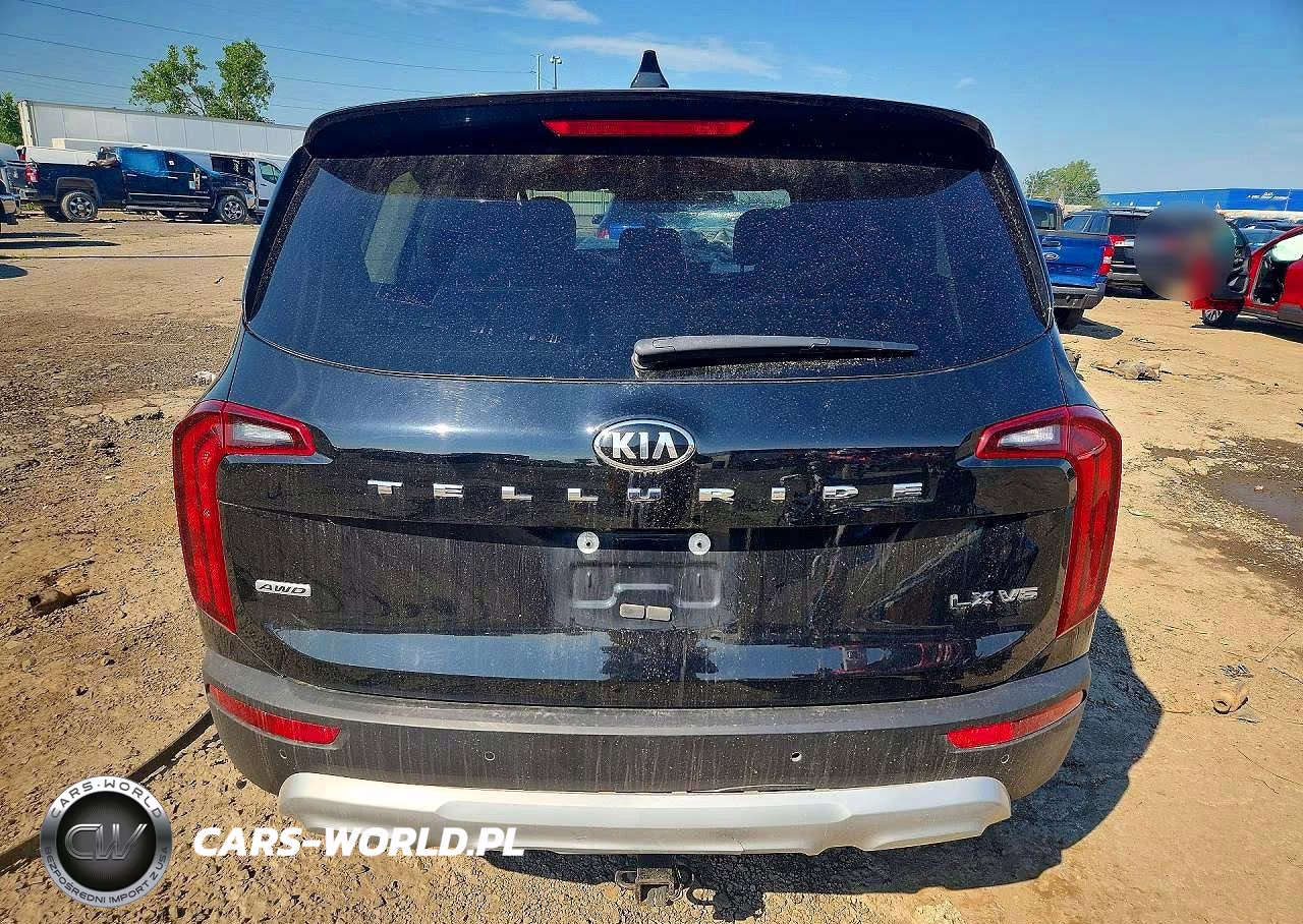 2020 Kia Telluride Lx VIN:5XYP2DHC2LG038780 - 6