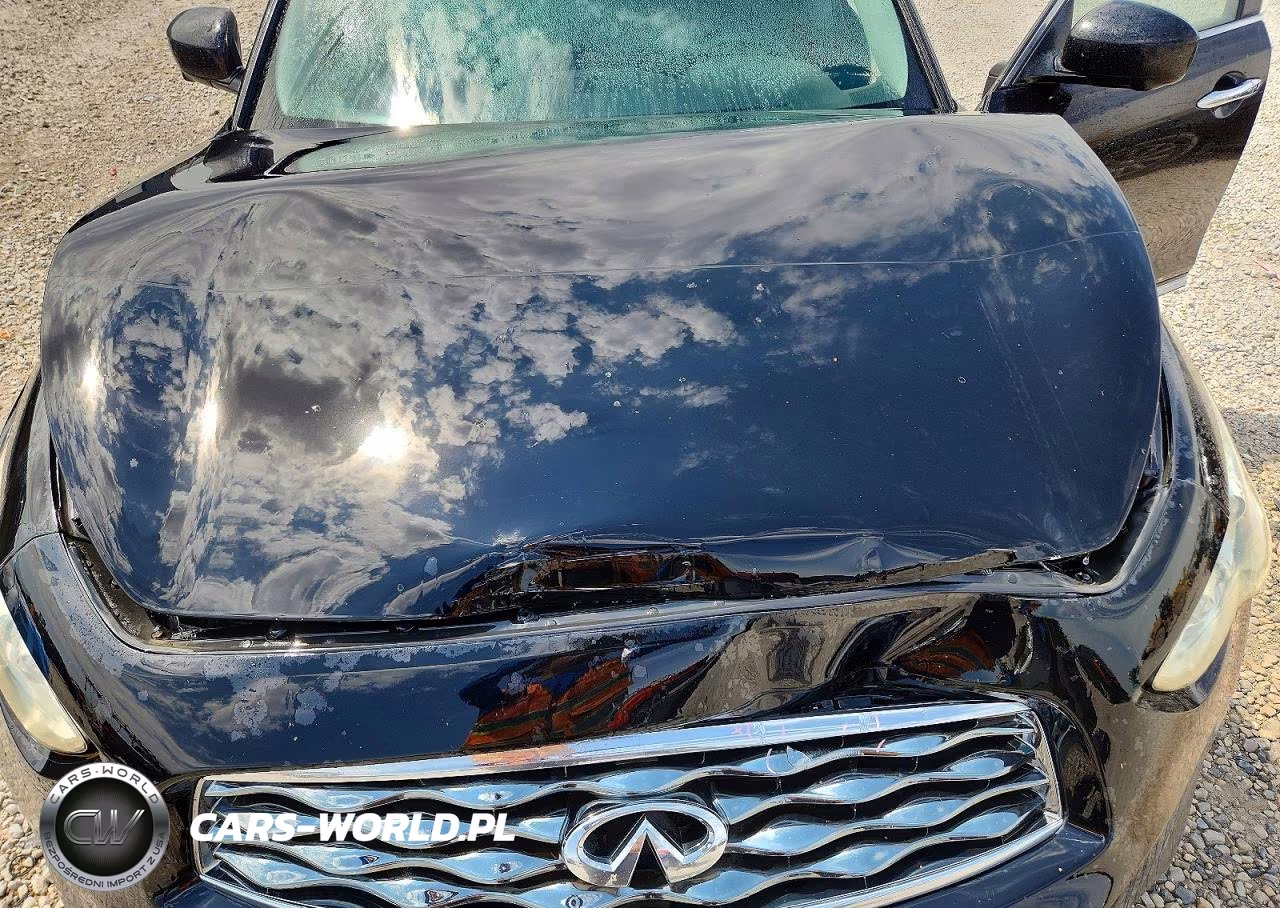 2010 Infiniti Fx35 Base VIN:JN8AS1MW2AM855607 - 11
