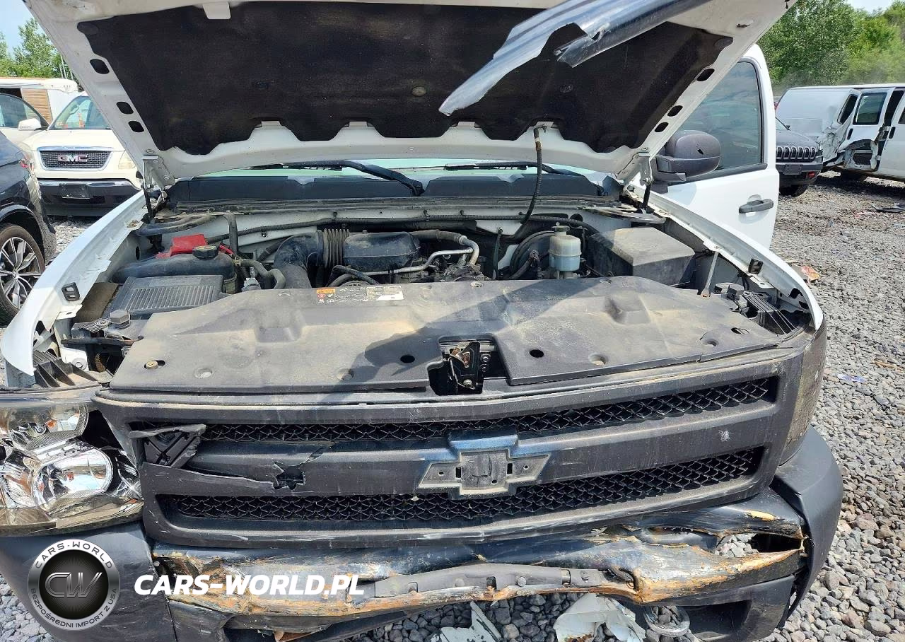 2013 Chevrolet Silverado C1500 VIN:1GCNCPEX5DZ284657 - 11