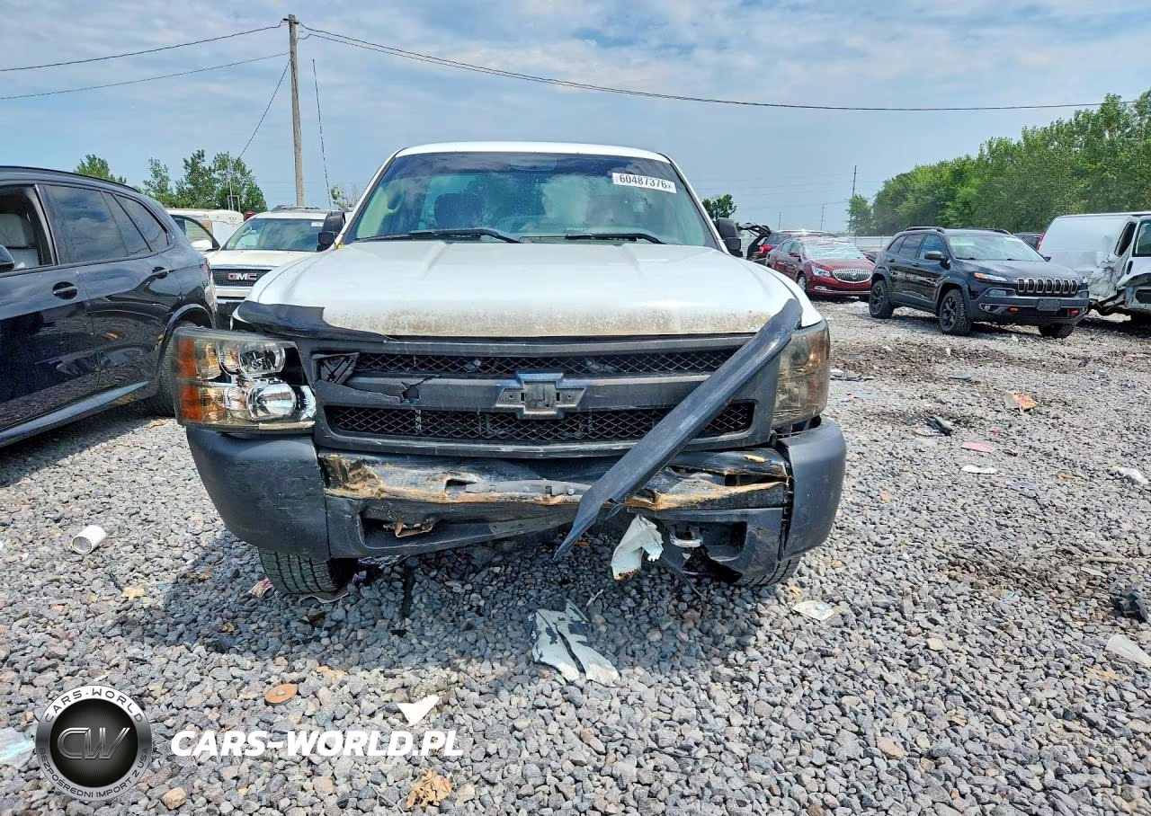 2013 Chevrolet Silverado C1500 VIN:1GCNCPEX5DZ284657 - 5