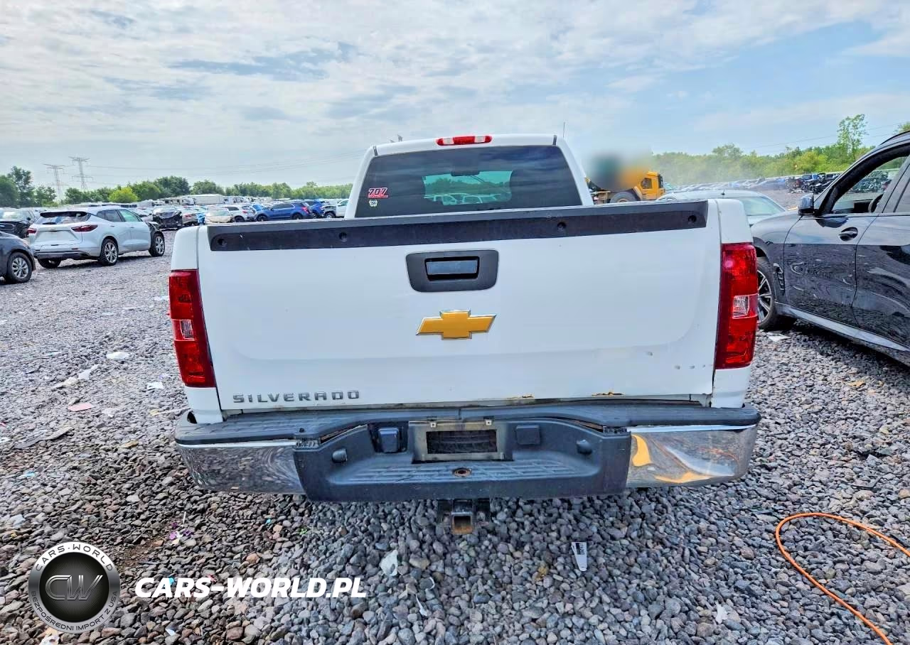 2013 Chevrolet Silverado C1500 VIN:1GCNCPEX5DZ284657 - 6