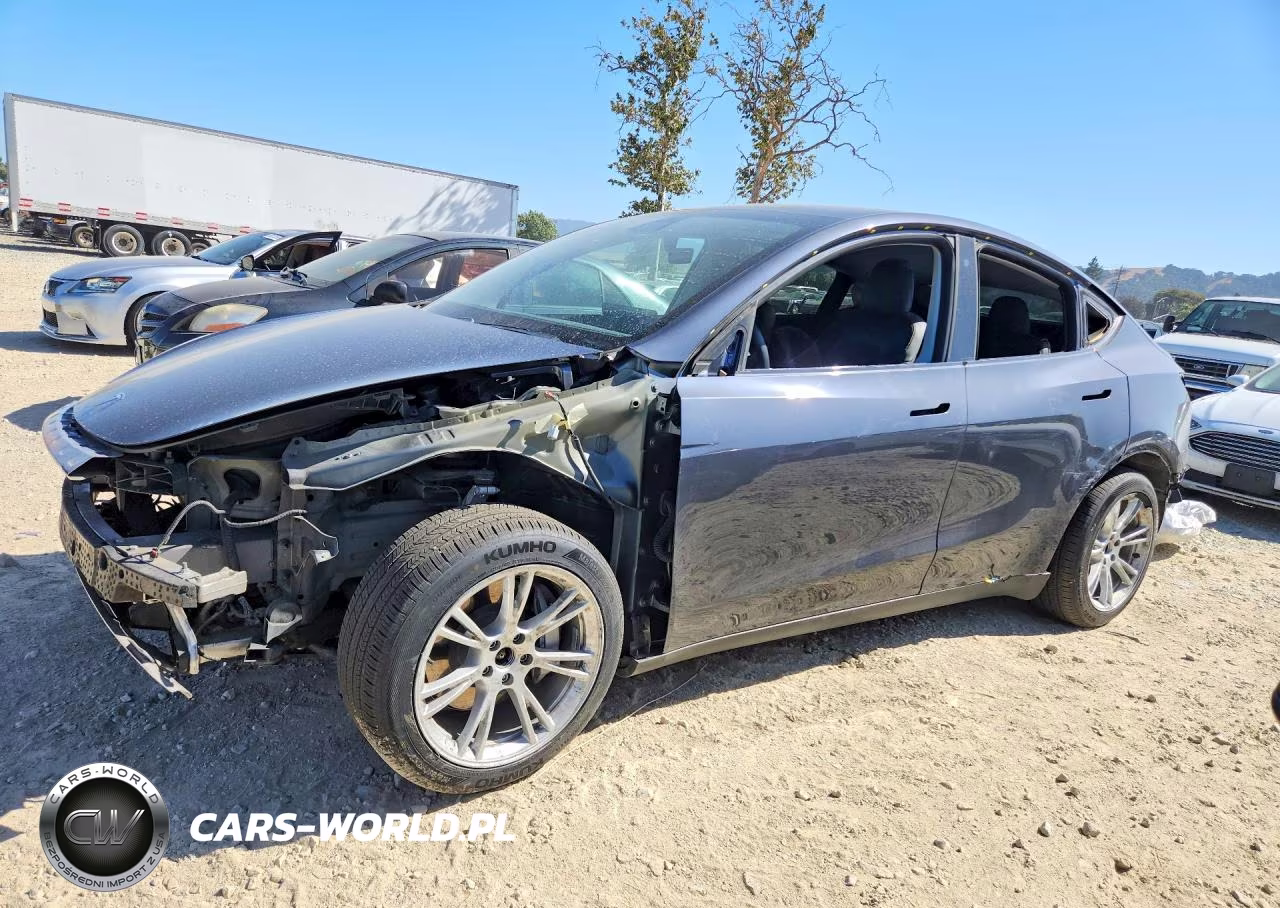 2020 Tesla Model Y
