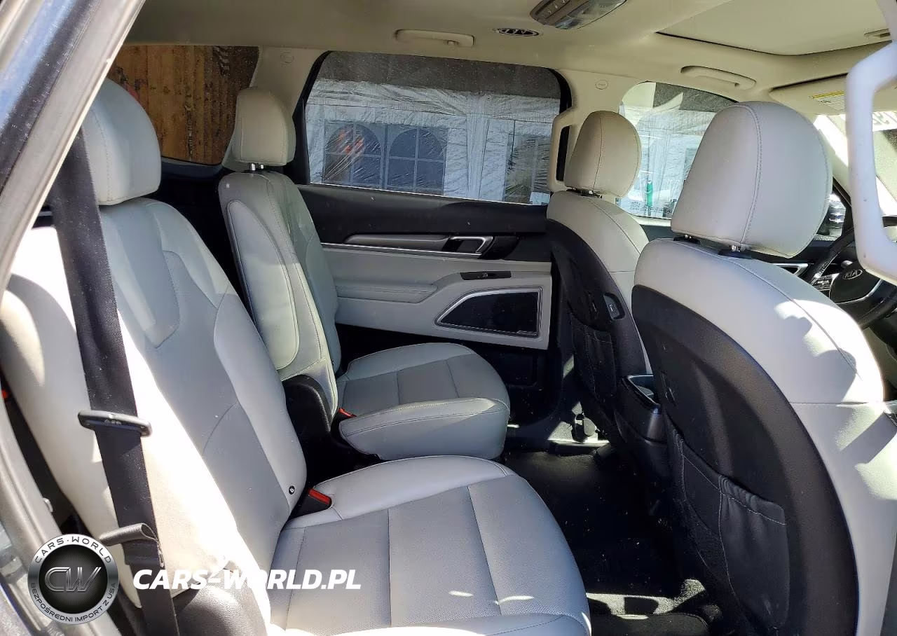2021 Kia Telluride S VIN:5XYP6DHC8MG125671 - 10