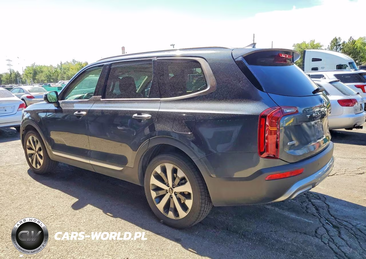 2021 Kia Telluride S VIN:5XYP6DHC8MG125671 - 2