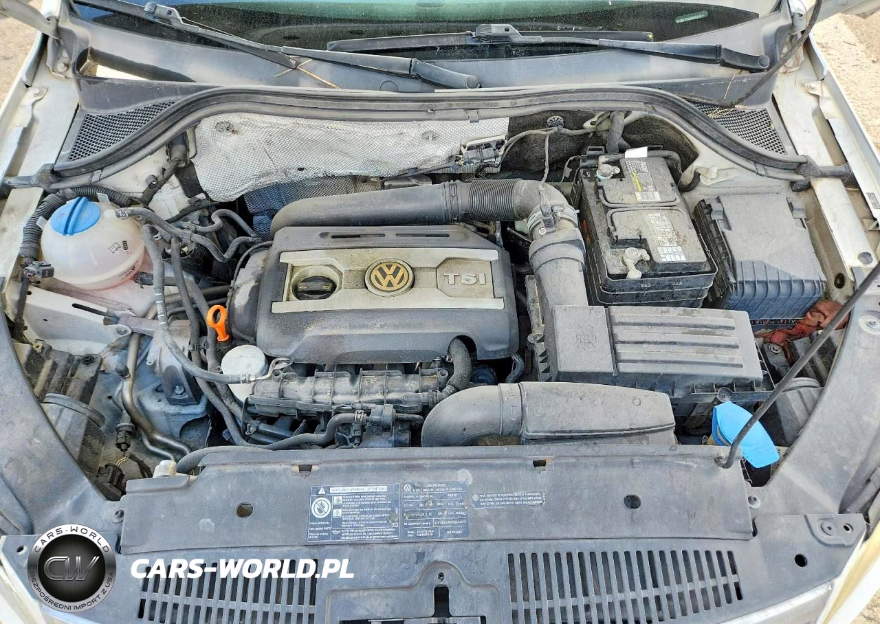 2009 Volkswagen Tiguan Se VIN:WVGBV75N39W521811 - 12