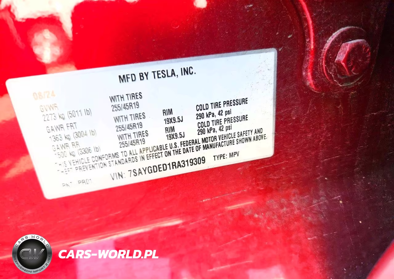 2024 Tesla Model Y VIN:7SAYGDED1RA319309 - 12