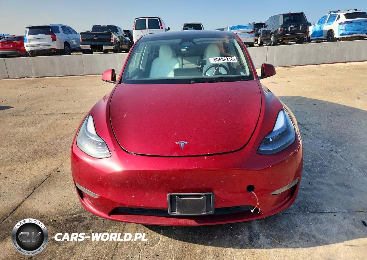 2024 Tesla Model Y VIN:7SAYGDED1RA319309 - 5