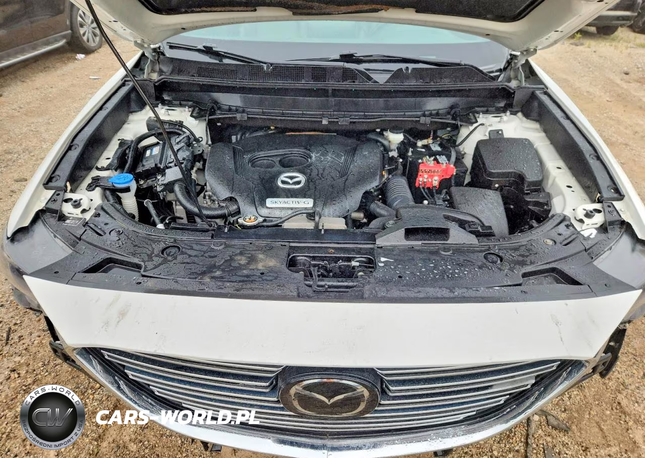 2020 Mazda Cx-9 Signature VIN:JM3TCBEY2L0407053 - 12
