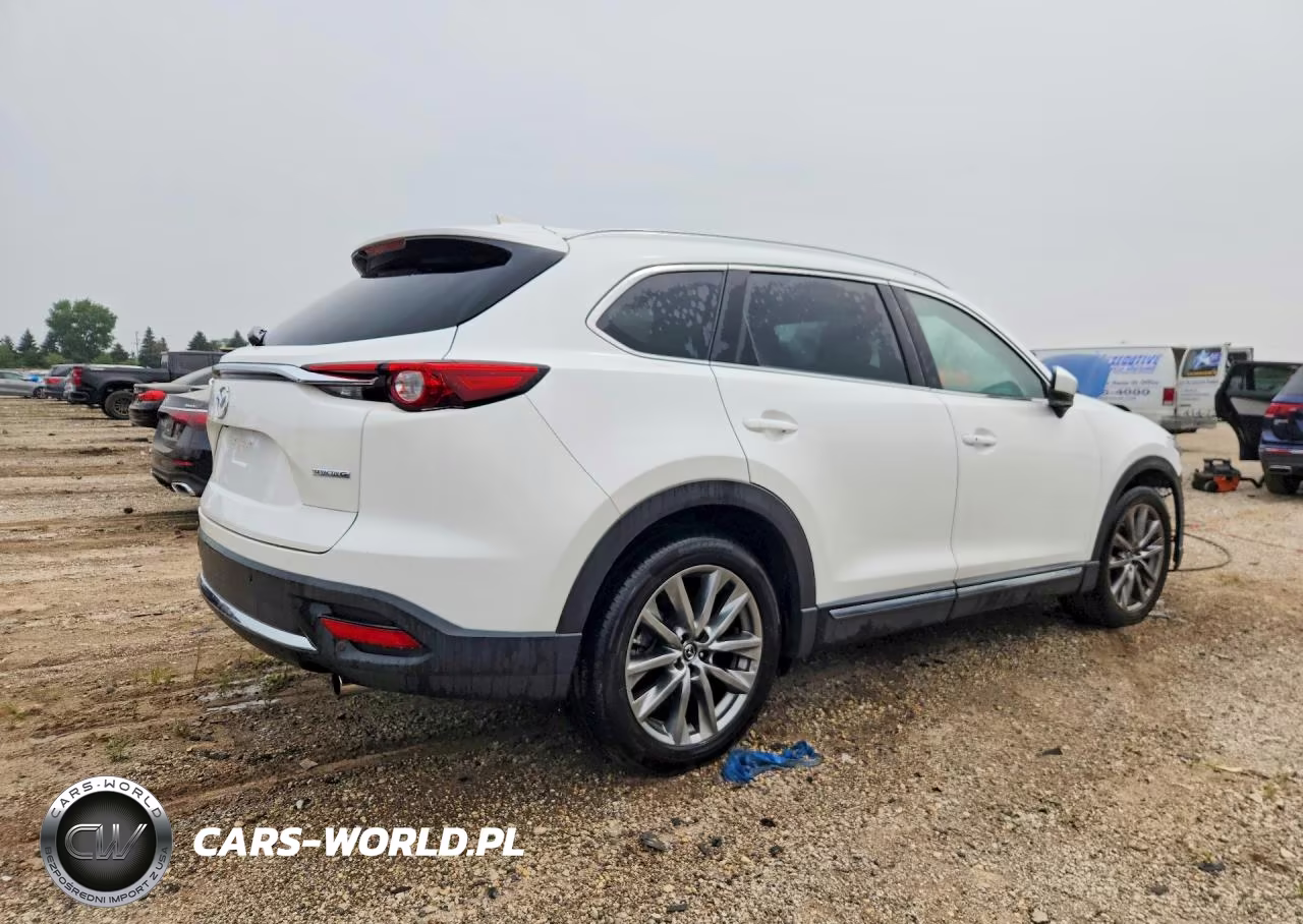 2020 Mazda Cx-9 Signature VIN:JM3TCBEY2L0407053 - 3