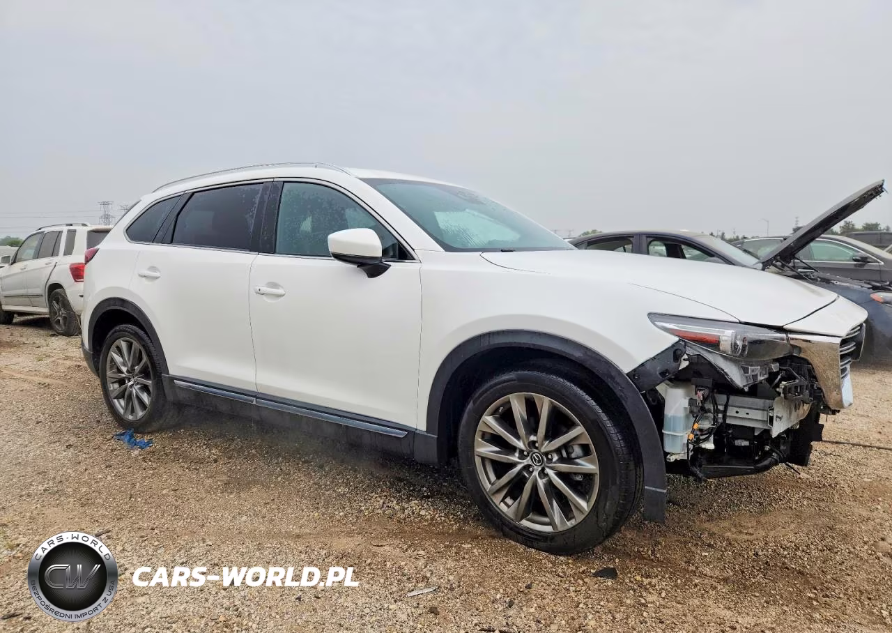 2020 Mazda Cx-9 Signature VIN:JM3TCBEY2L0407053 - 4