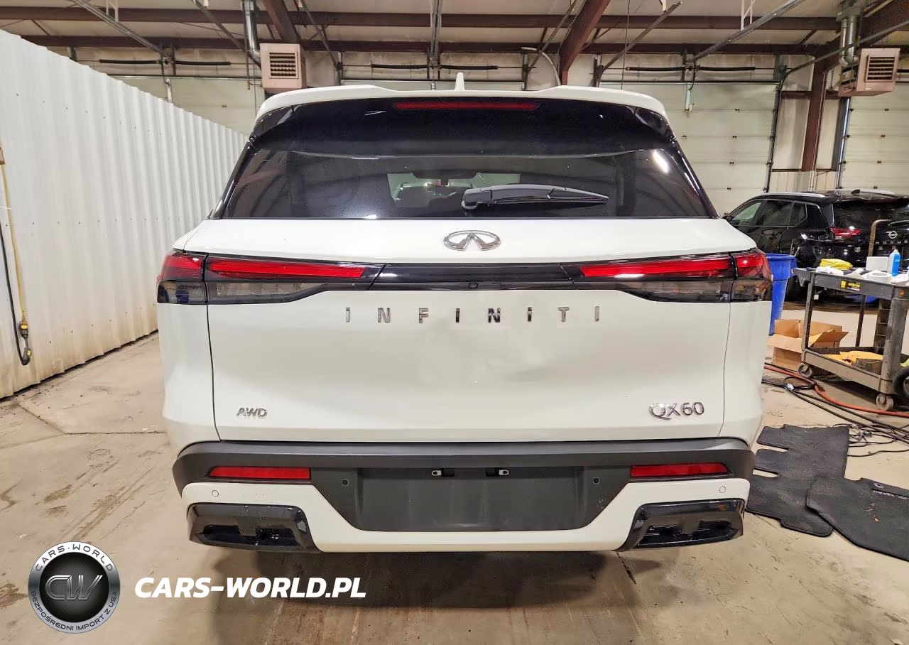 2025 Infiniti Qx60 Pure VIN:5N1AL1ES2SC344065 - 6