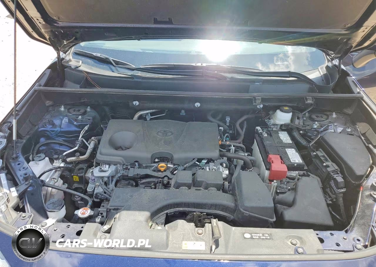 2025 Toyota Rav4 Xle Premium VIN:2T3C1RFV1SW441698 - 12